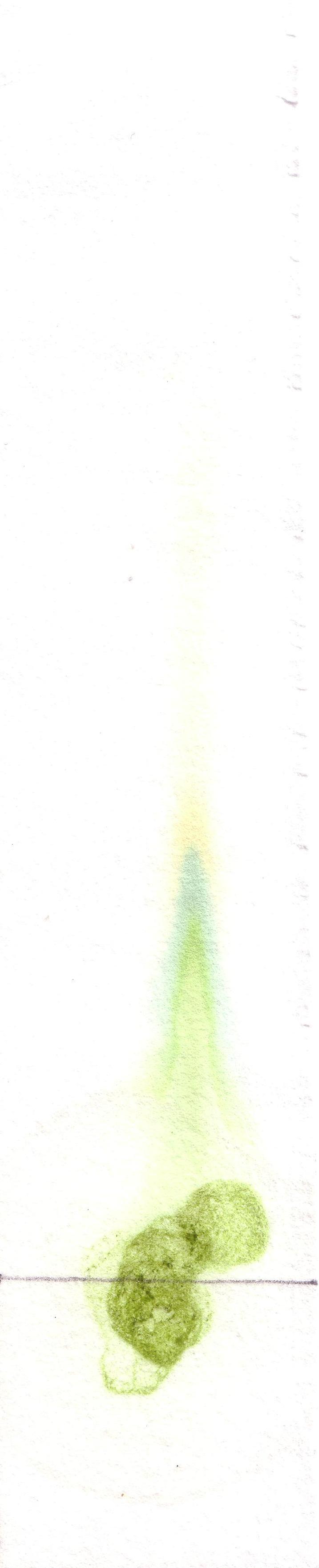 Chromatography