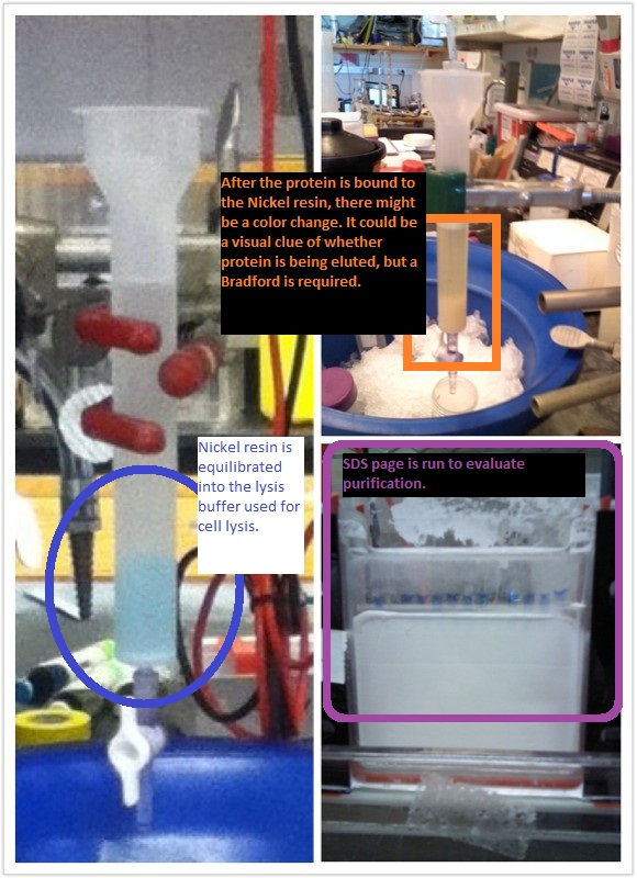 Column chromatography